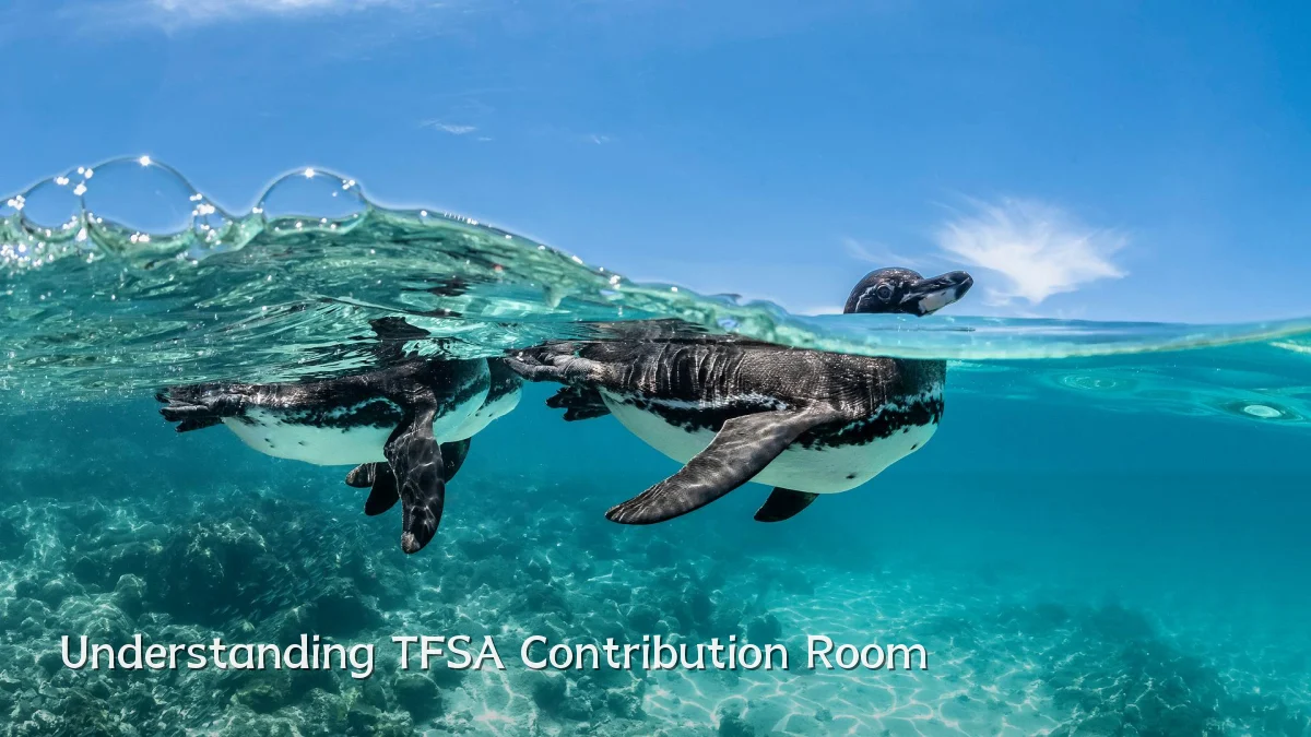 Understanding TFSA Contribution Room