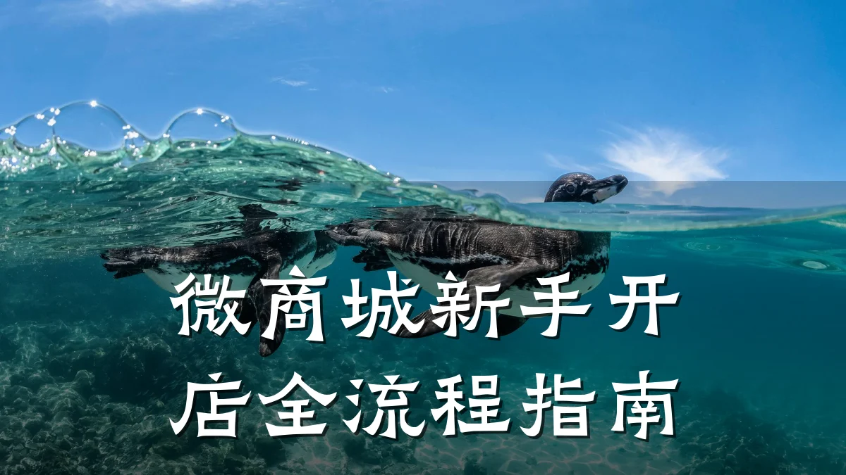 微商城新手开店全流程指南