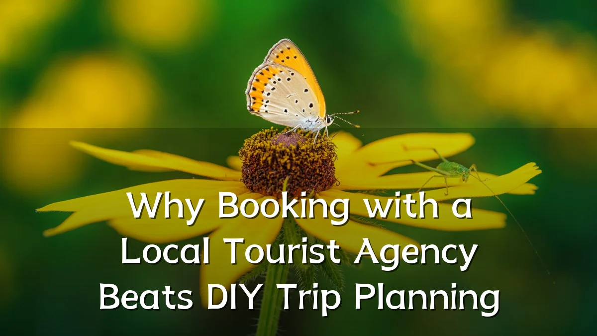 Why Booking with a Local Tourist Agency Beats DIY Trip Planning