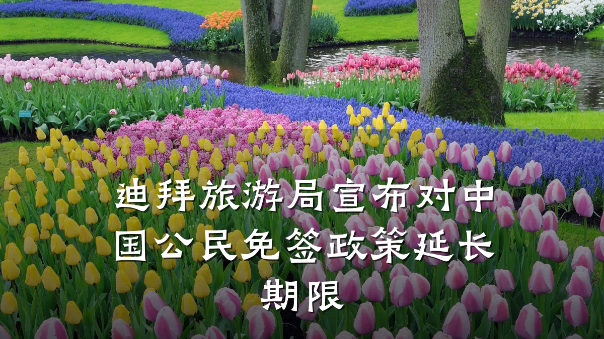 迪拜旅游局宣布对中国公民免签政策延长期限