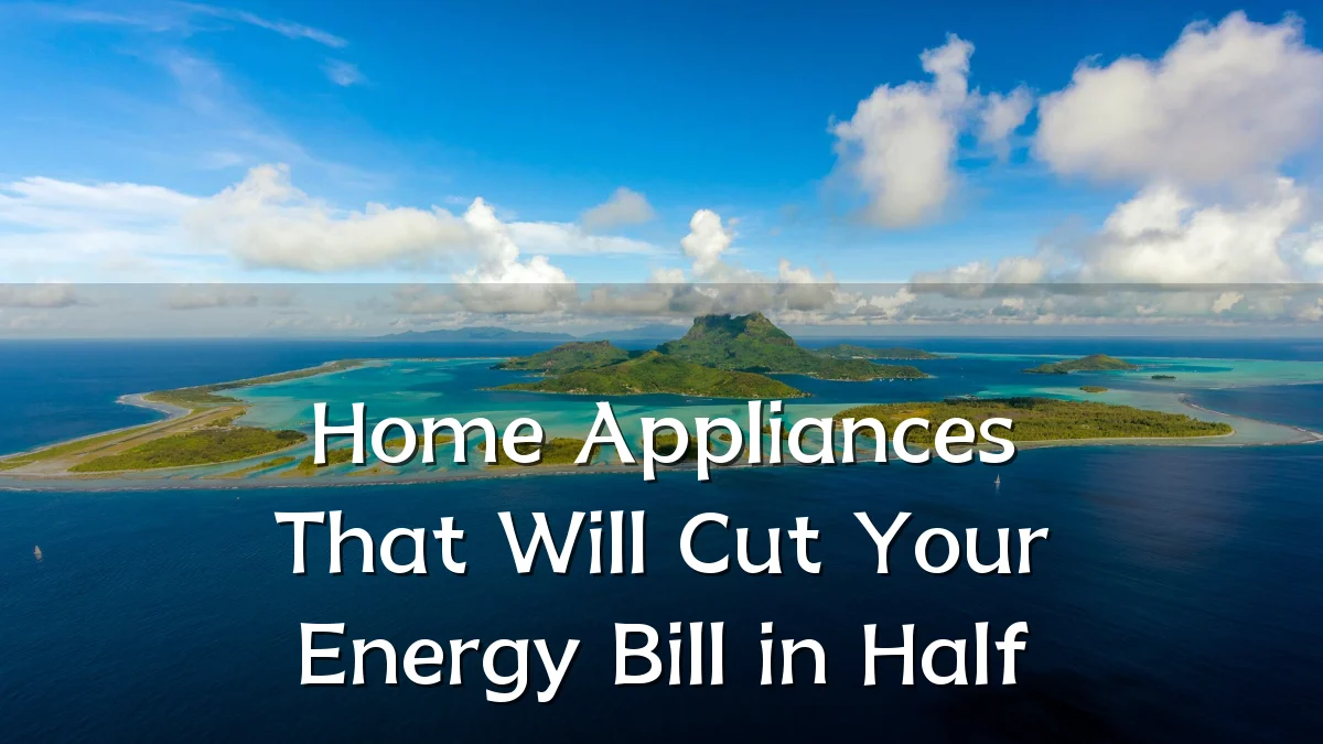 Home Appliances That Will Cut Your Energy Bill in Half