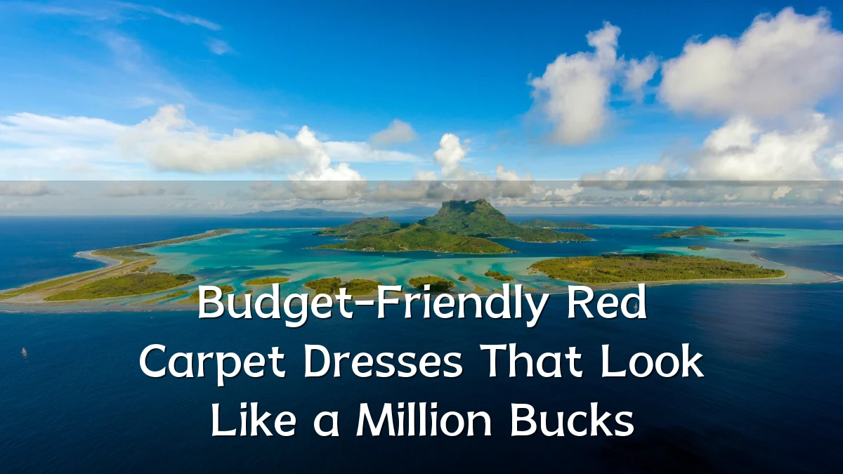 Budget-Friendly Red Carpet Dresses That Look Like a Million Bucks