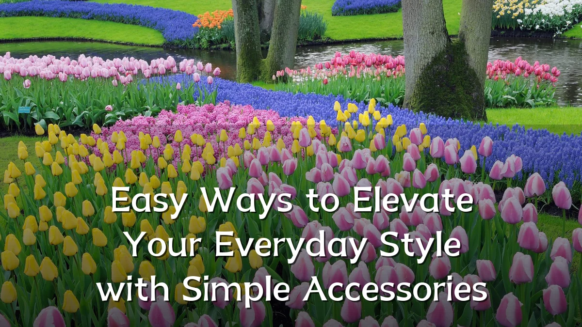 Easy Ways to Elevate Your Everyday Style with Simple Accessories