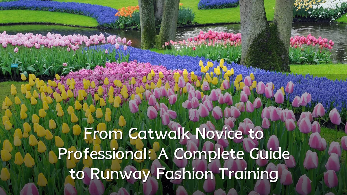From Catwalk Novice to Professional: A Complete Guide to Runway Fashion Training