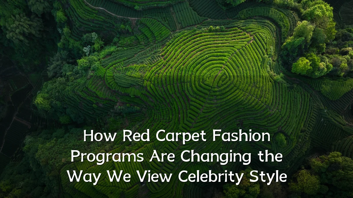How Red Carpet Fashion Programs Are Changing the Way We View Celebrity Style