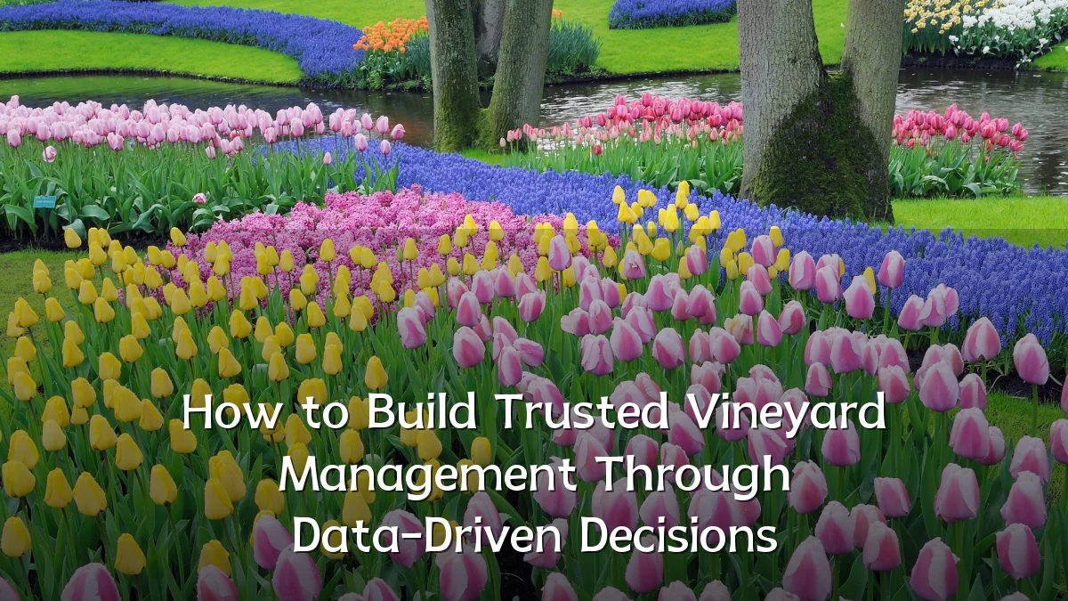 How to Build Trusted Vineyard Management Through Data-Driven Decisions