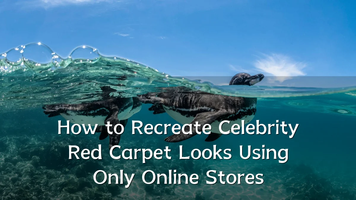 How to Recreate Celebrity Red Carpet Looks Using Only Online Stores
