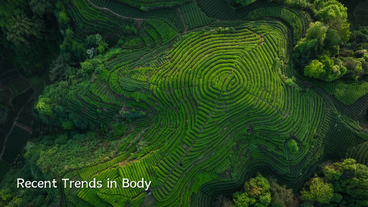 Recent Trends in Body