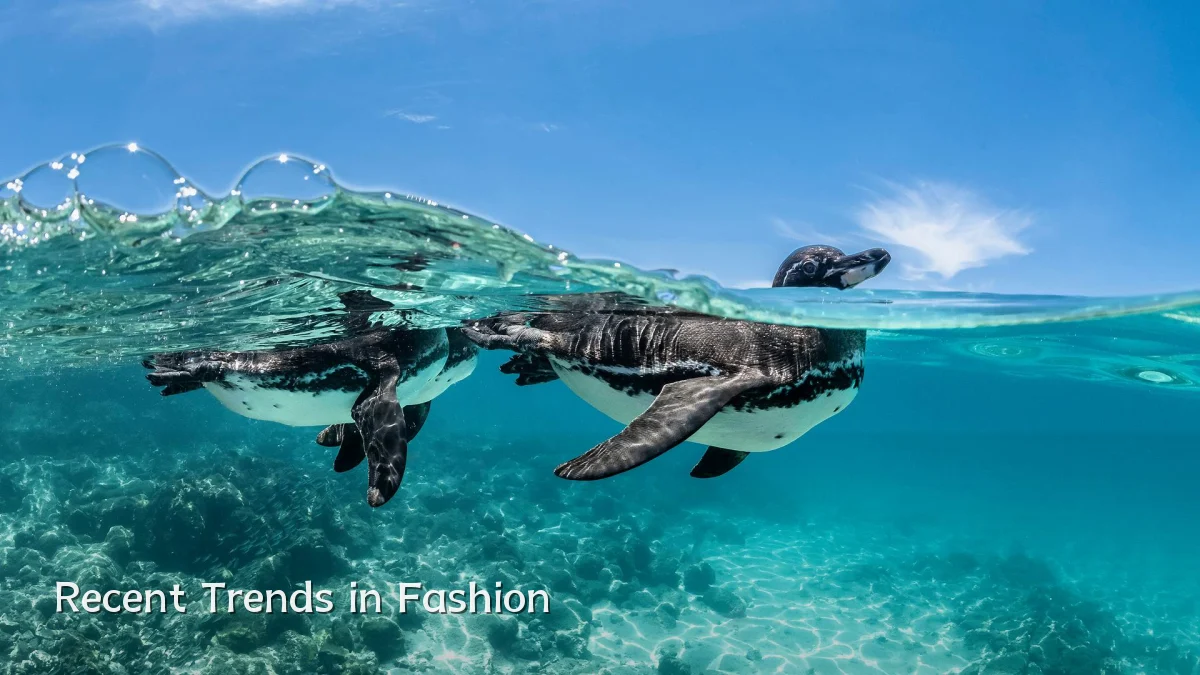Recent Trends in Fashion