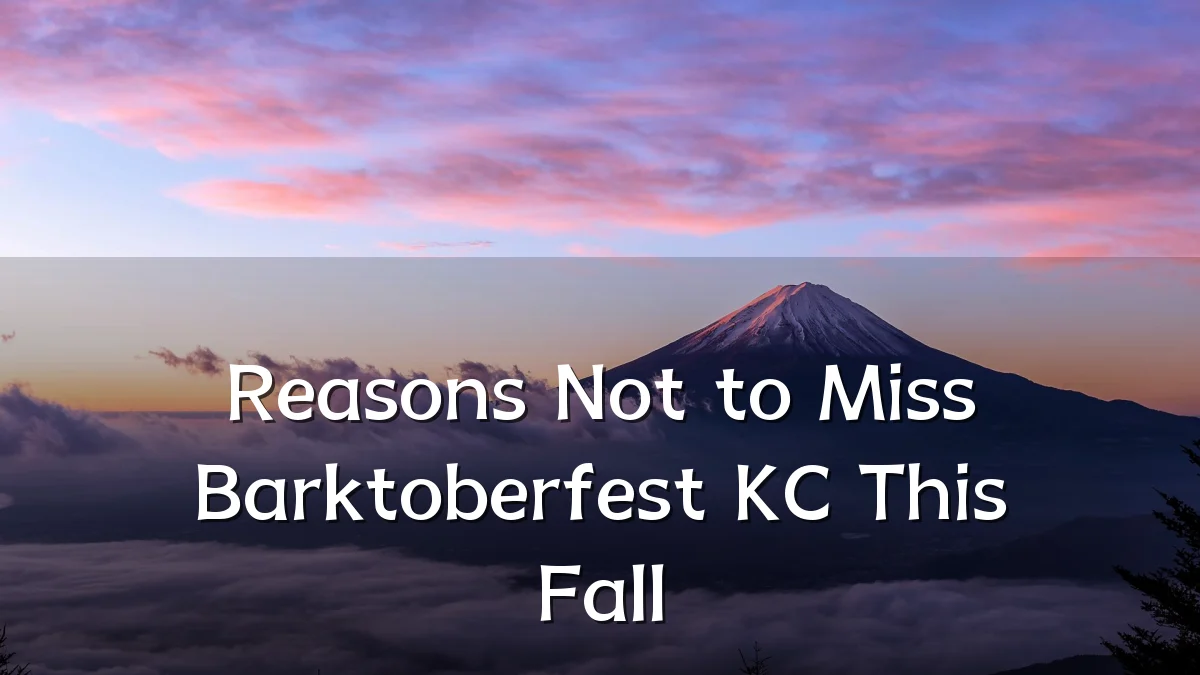 Reasons Not to Miss Barktoberfest KC This Fall