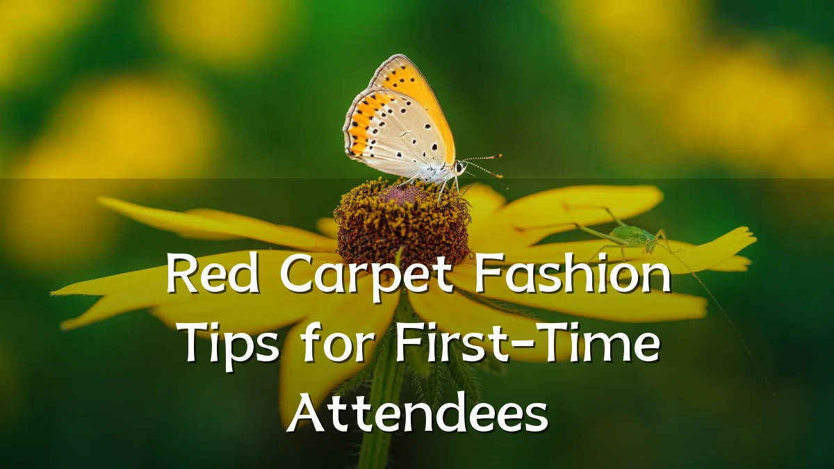Red Carpet Fashion Tips for First-Time Attendees