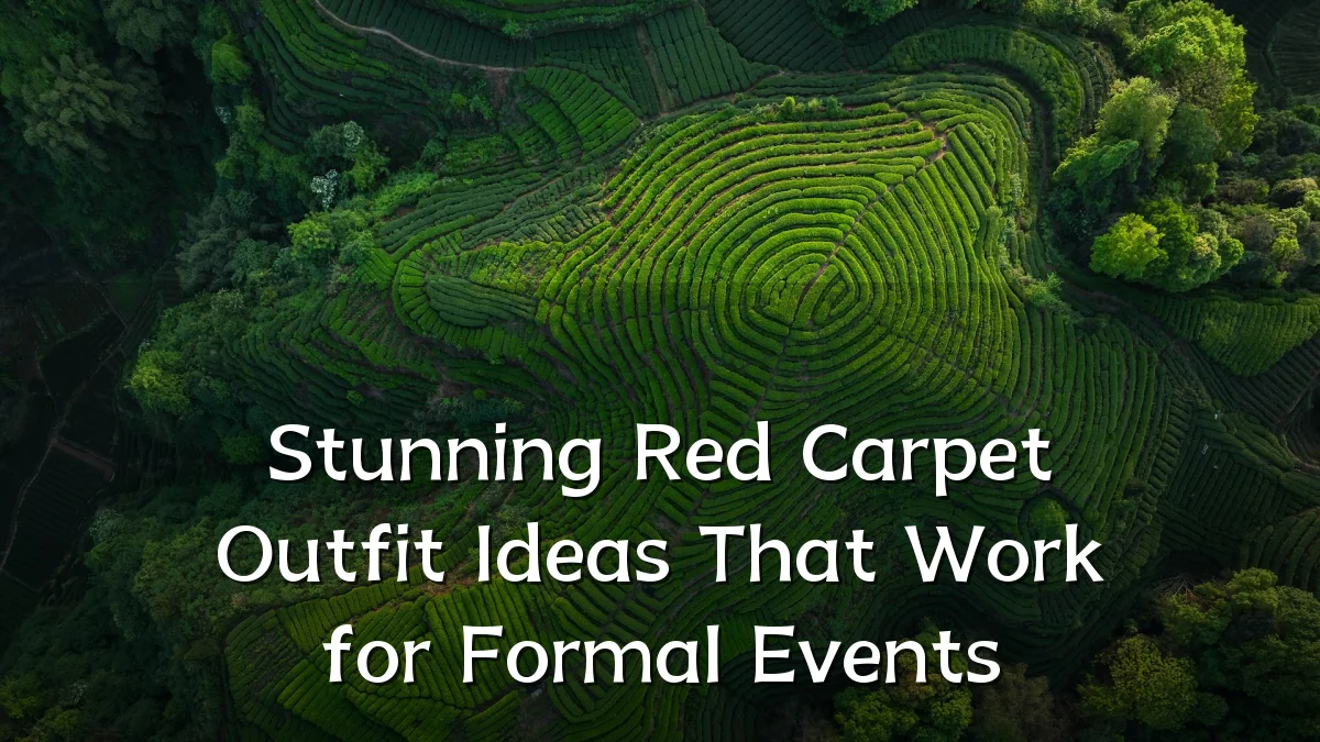 Stunning Red Carpet Outfit Ideas That Work for Formal Events