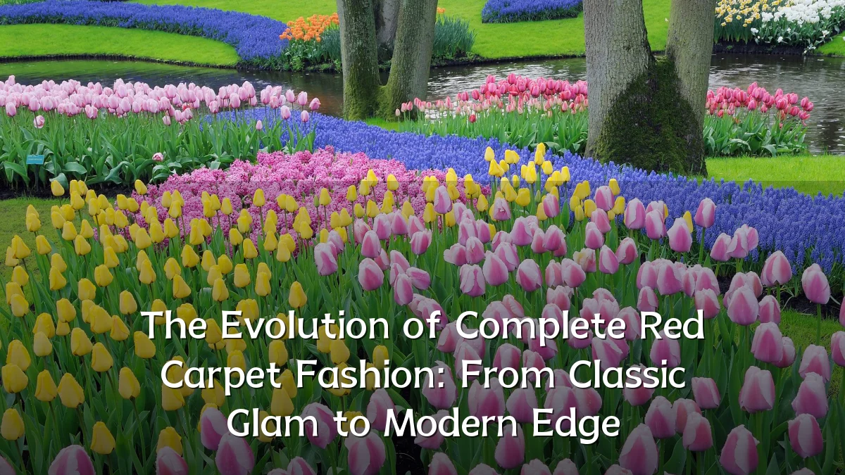 The Evolution of Complete Red Carpet Fashion: From Classic Glam to Modern Edge