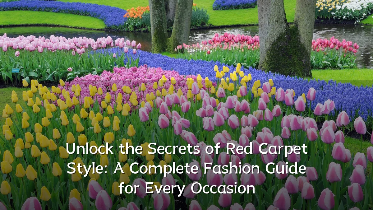 Unlock the Secrets of Red Carpet Style: A Complete Fashion Guide for Every Occasion