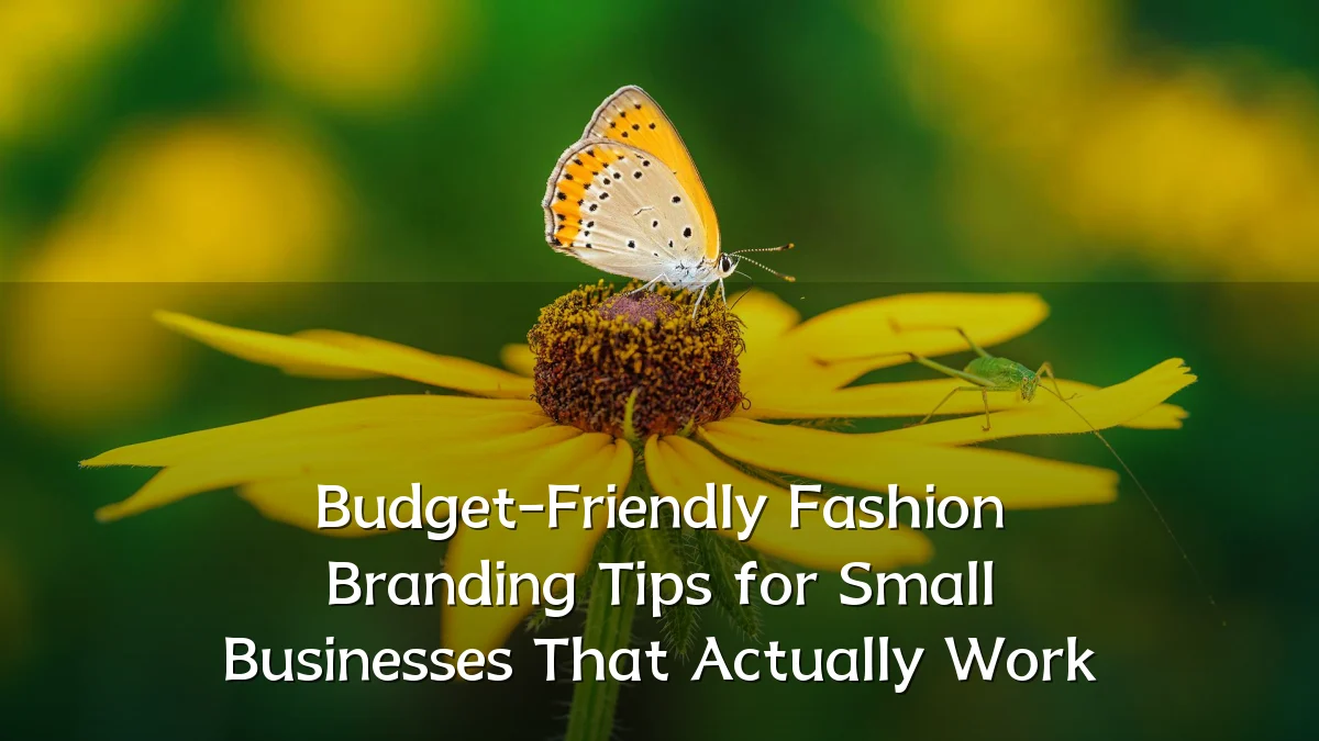 Budget-Friendly Fashion Branding Tips for Small Businesses That Actually Work