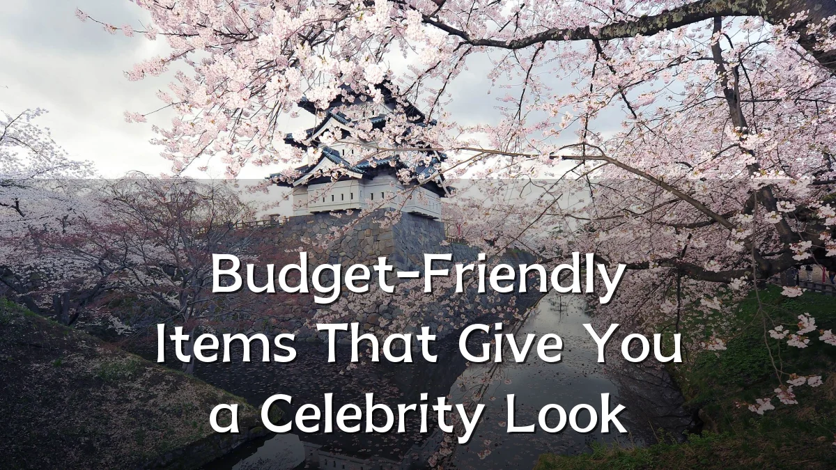Budget-Friendly Items That Give You a Celebrity Look