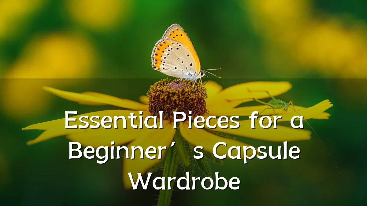 Essential Pieces for a Beginner’s Capsule Wardrobe