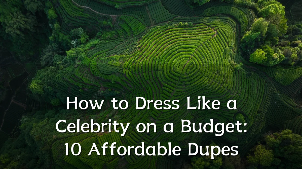 How to Dress Like a Celebrity on a Budget: 10 Affordable Dupes