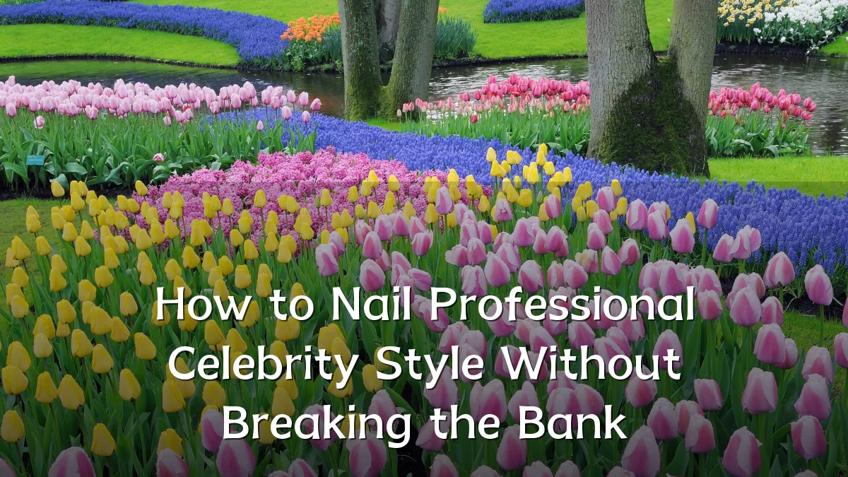 How to Nail Professional Celebrity Style Without Breaking the Bank