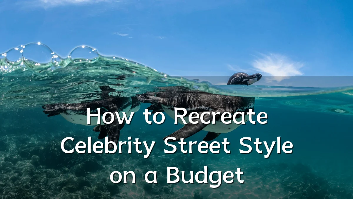 How to Recreate Celebrity Street Style on a Budget