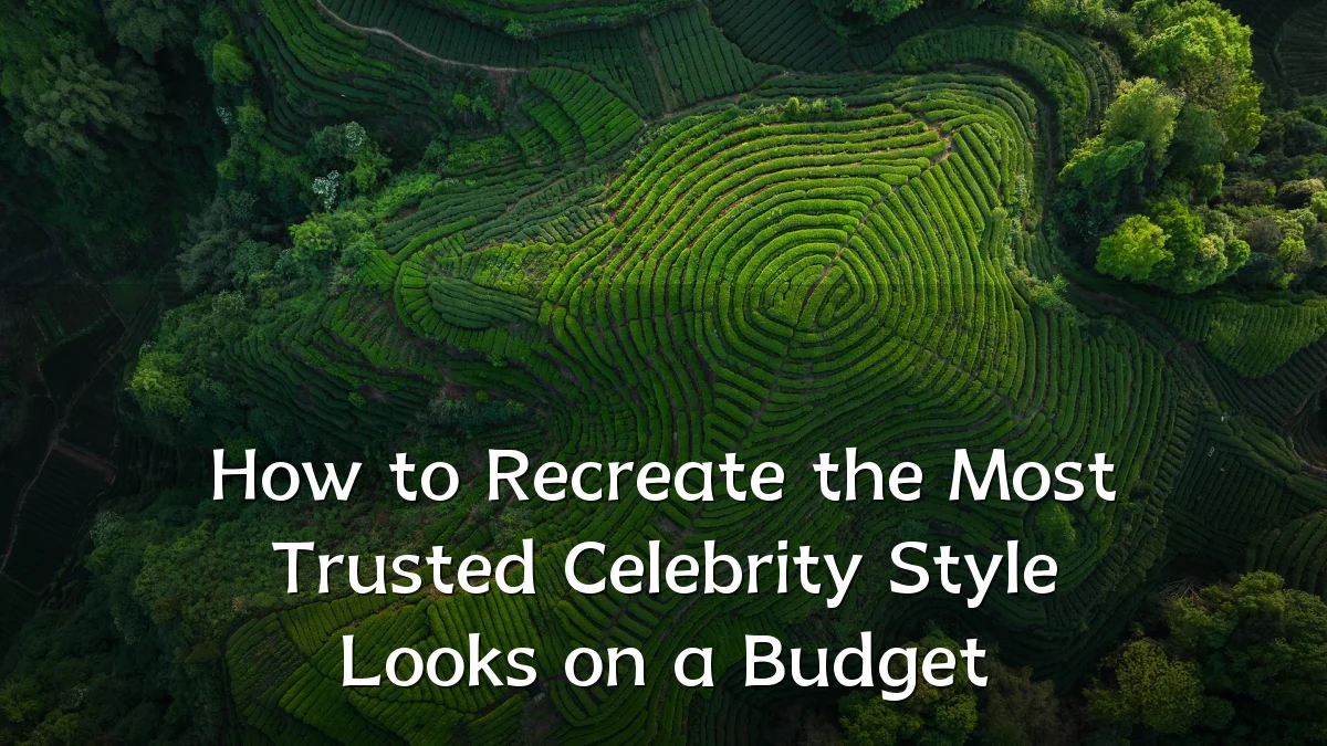 How to Recreate the Most Trusted Celebrity Style Looks on a Budget