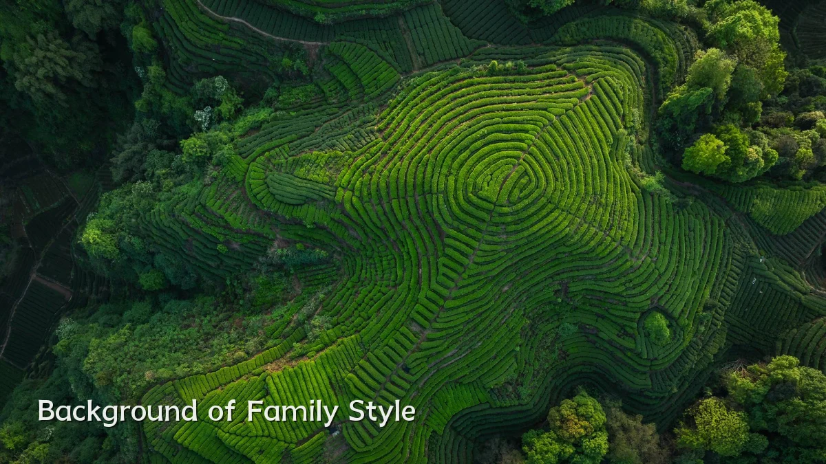 Background of Family Style