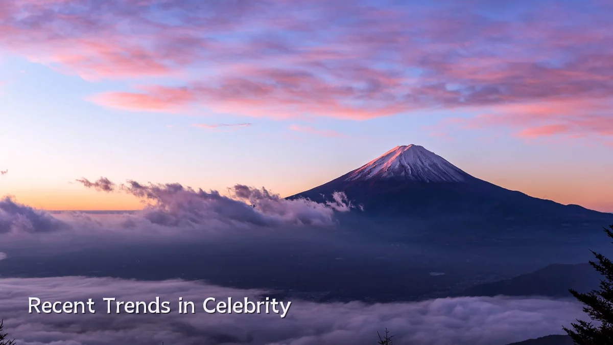Recent Trends in Celebrity