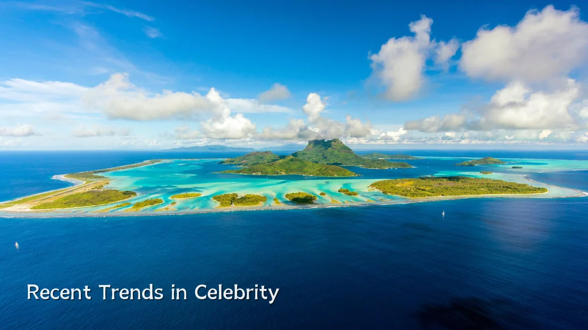 Recent Trends in Celebrity
