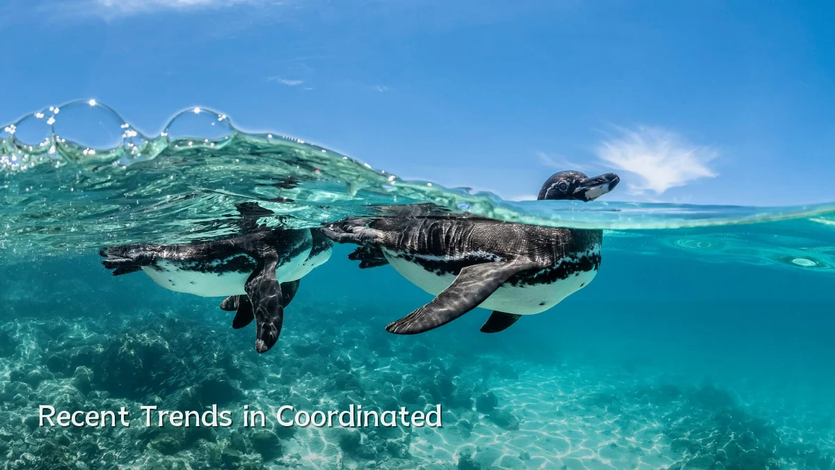 Recent Trends in Coordinated