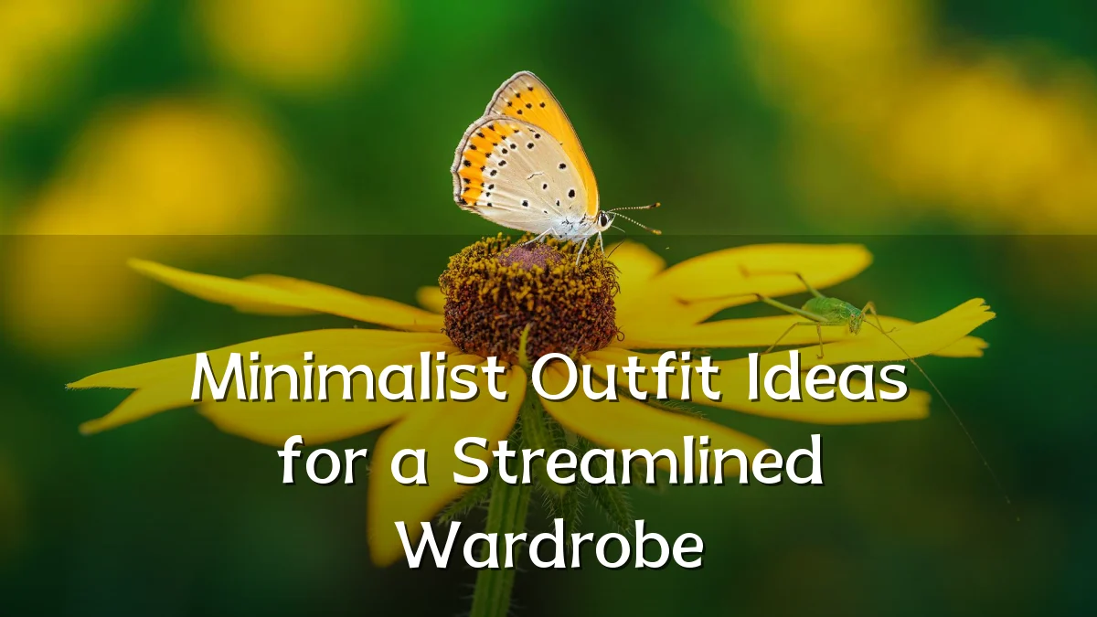 Minimalist Outfit Ideas for a Streamlined Wardrobe