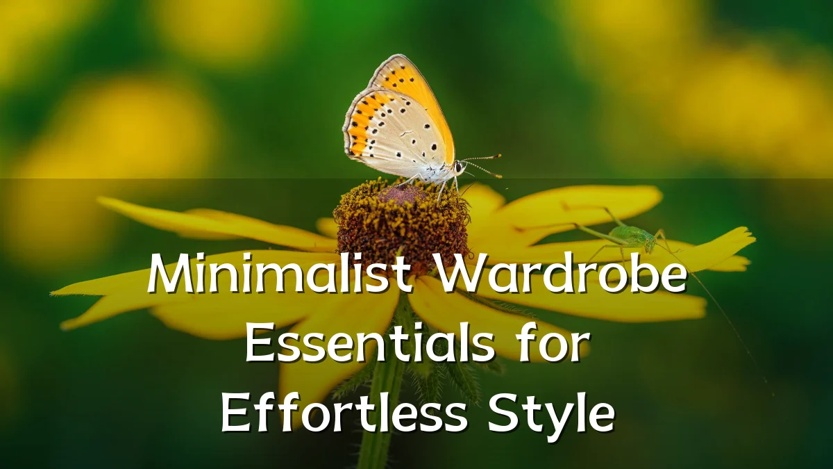 Minimalist Wardrobe Essentials for Effortless Style