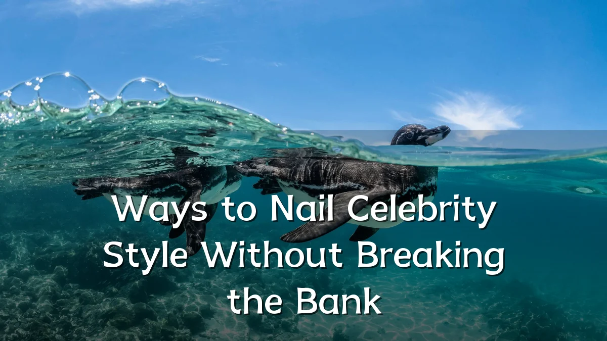 Ways to Nail Celebrity Style Without Breaking the Bank