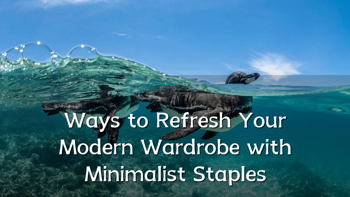 Ways to Refresh Your Modern Wardrobe with Minimalist Staples