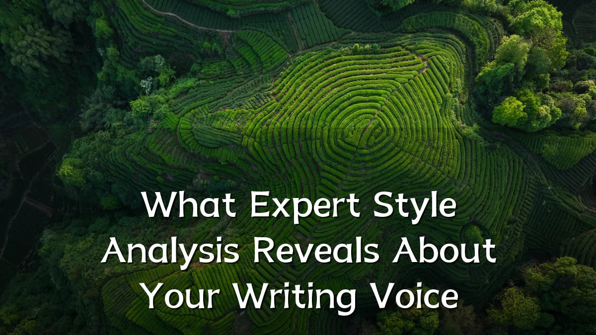 What Expert Style Analysis Reveals About Your Writing Voice