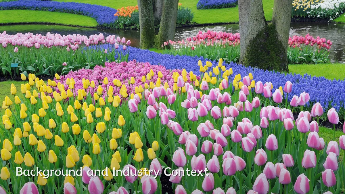 Background and Industry Context